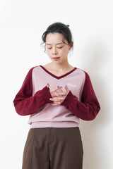 V neck sweater w/ contrast raglan sleeves
