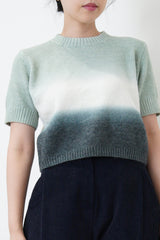 Green gradient tone crop knit top