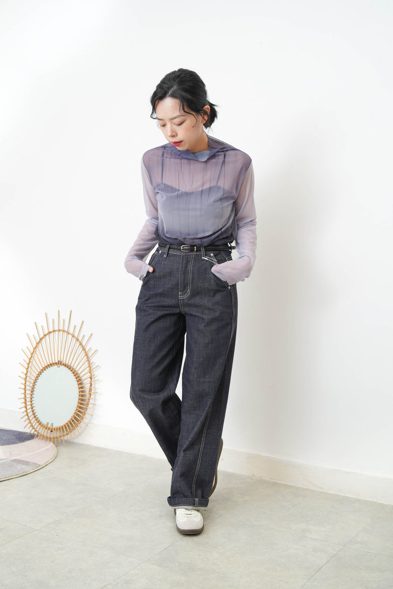 Gradient sheer top w/ loose turtle neck