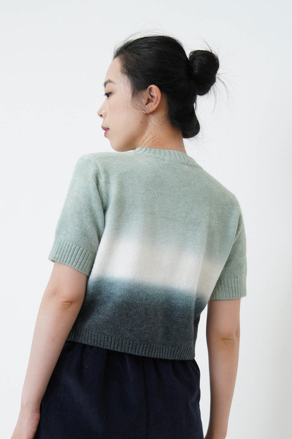 Green gradient tone crop knit top